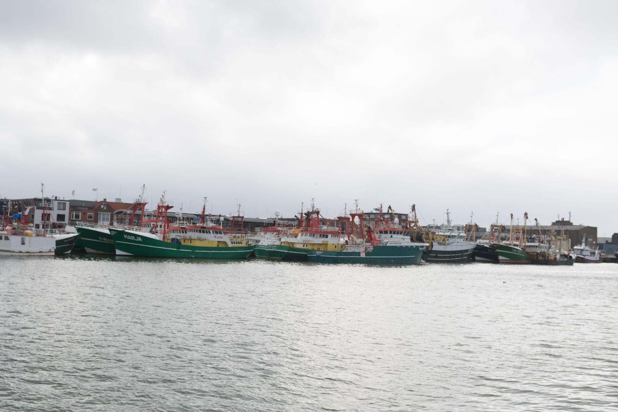 20230304   Fotoshoot IJmuiden   020